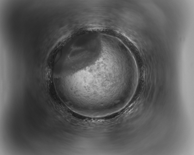 X0000096221351200801181442