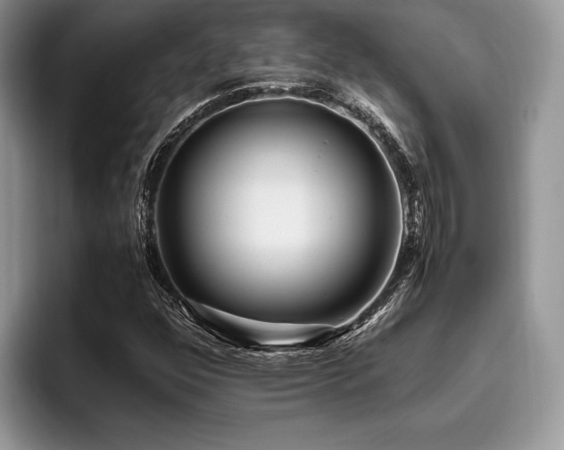 X0000096221352200801181442