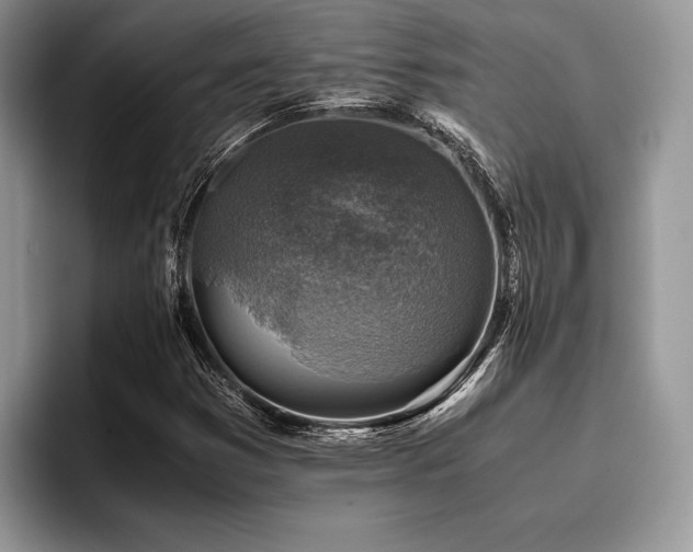 X0000096221353200801181442