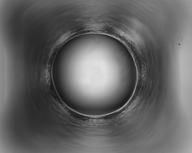 X0000096221354200801181442