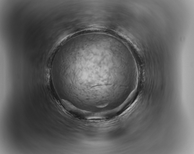 X0000096221355200801181442