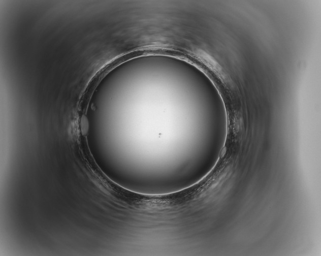 X0000096221356200801181442