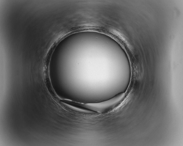 X0000096221357200801181442