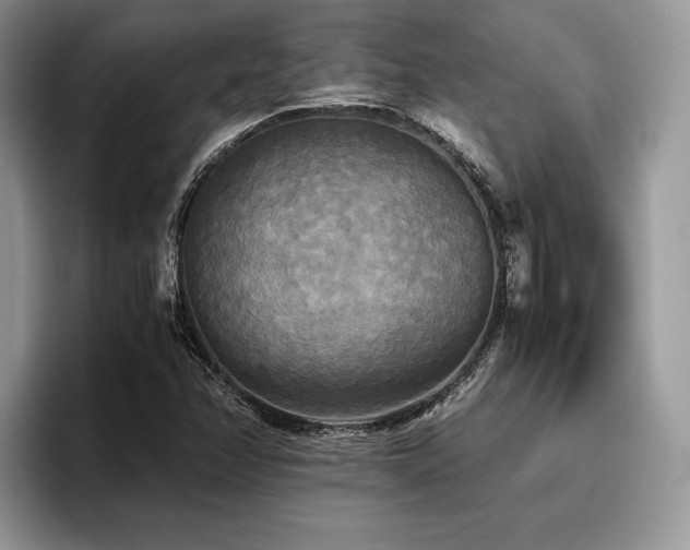 X0000096221358200801181442