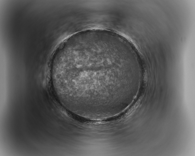 X0000096221359200801181442