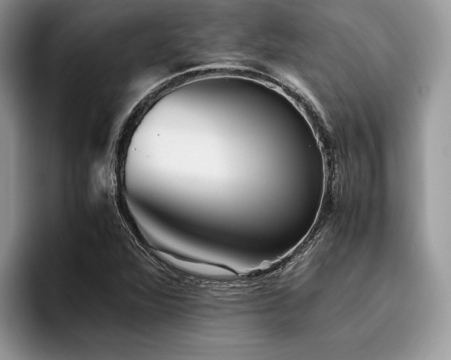 X0000096221360200801181442