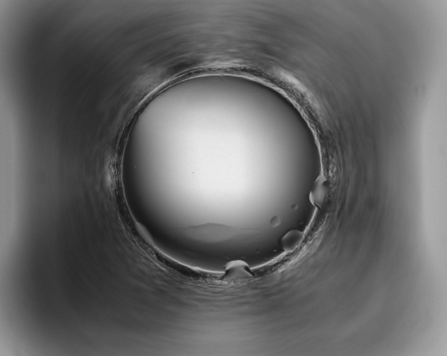 X0000096221361200801181442