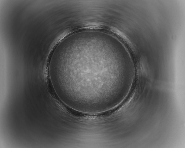 X0000096221362200801181442