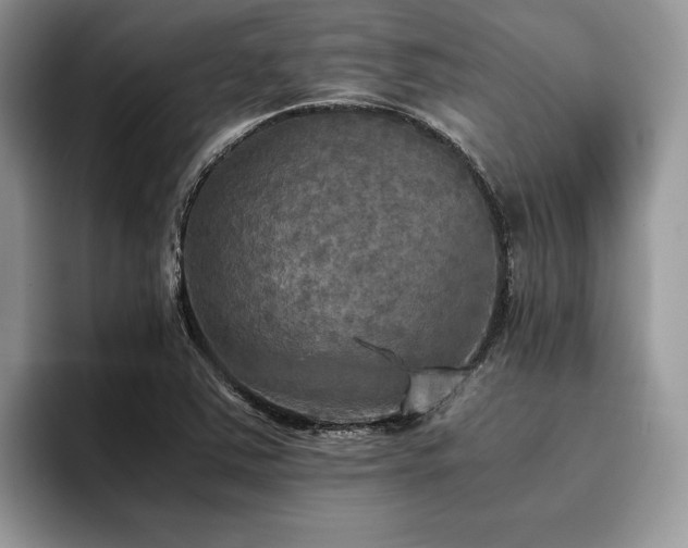 X0000096221363200801181442