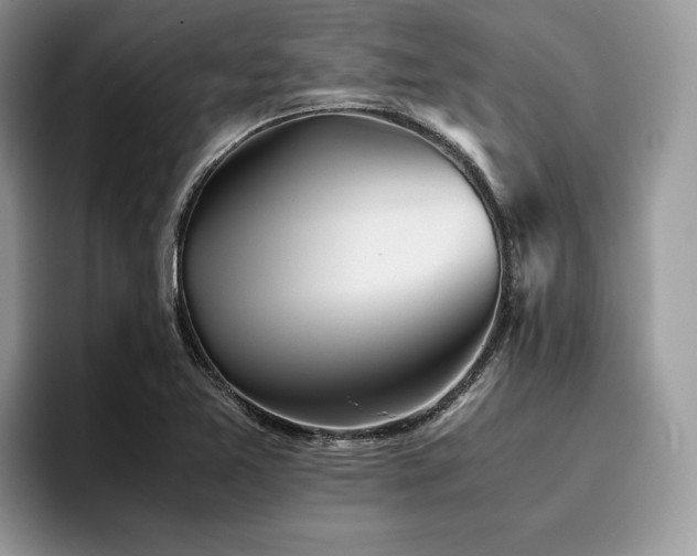 X0000096221365200801181442