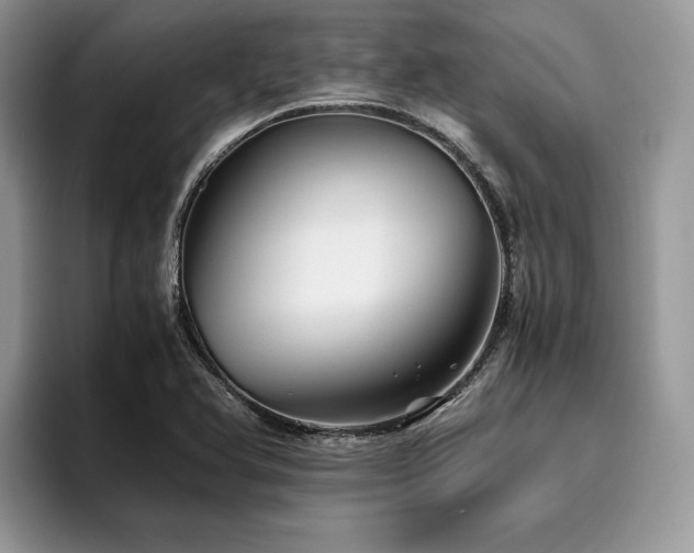 X0000096221366200801181442