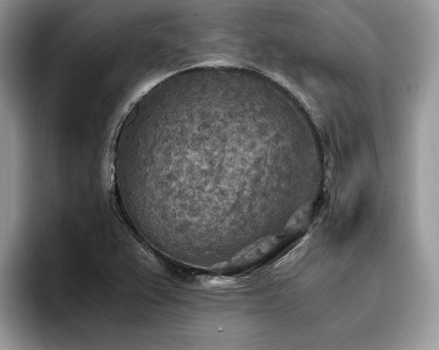 X0000096221367200801181442