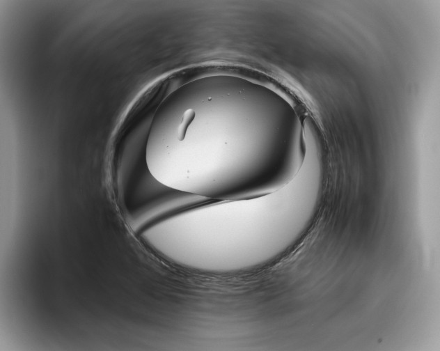 X0000096221368200801181442