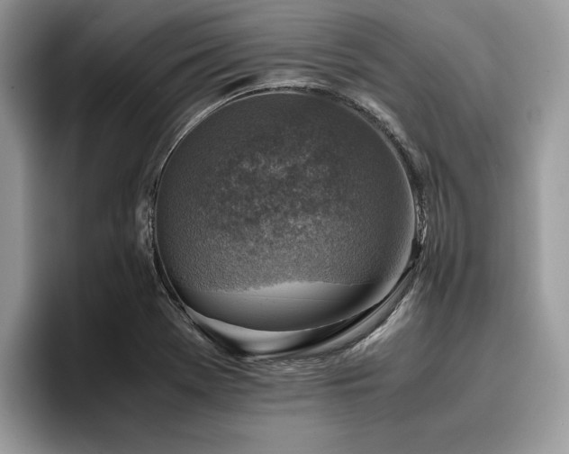 X0000096221369200801181442