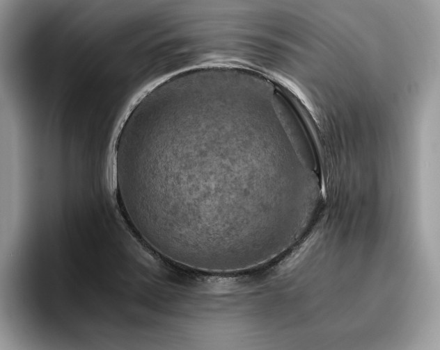X0000096221371200801181442