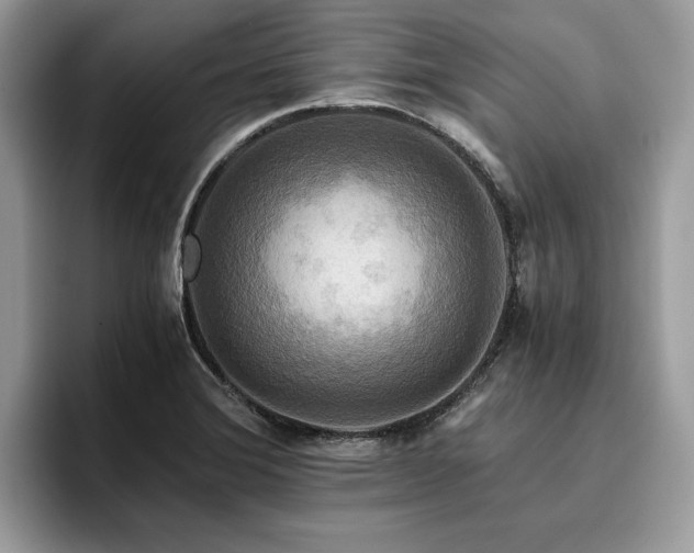 X0000096221372200801181442