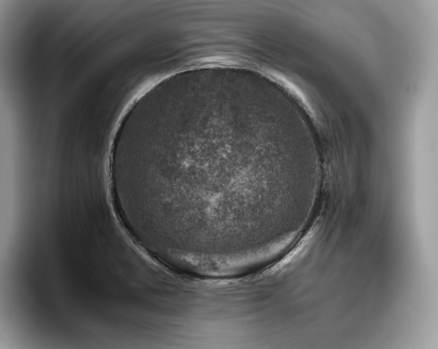 X0000096221373200801181442
