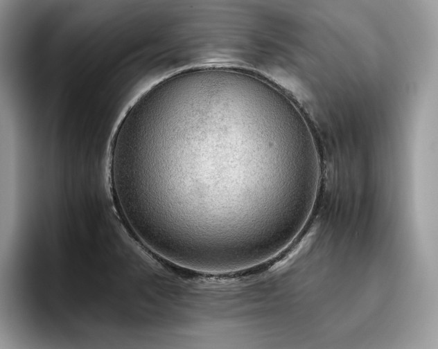X0000096221374200801181442