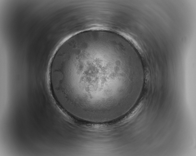 X0000096221375200801181442