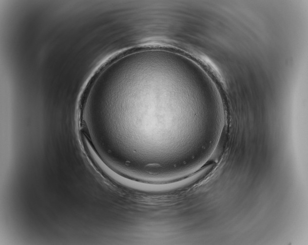 X0000096221376200801181442