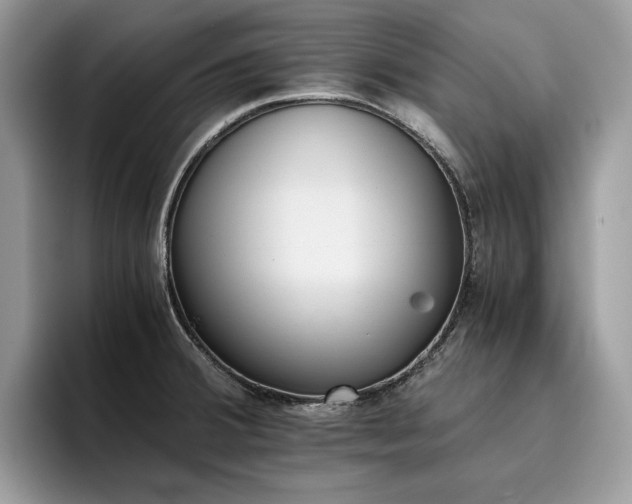 X0000096221380200801181442