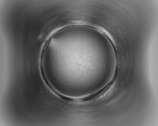 X0000096221381200801181442