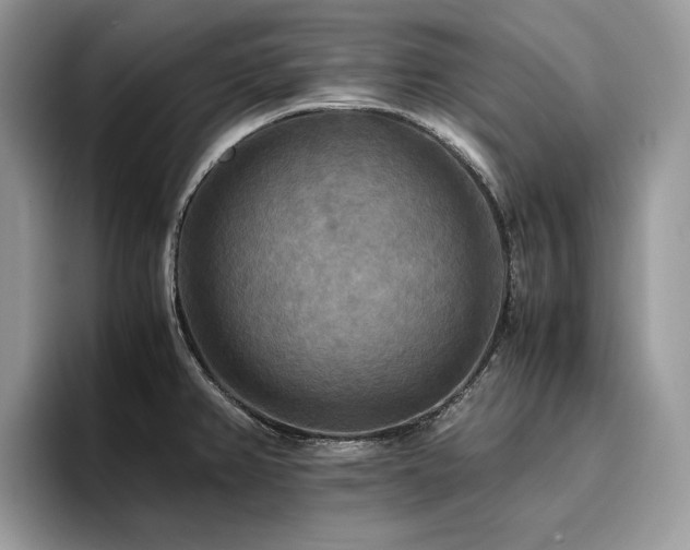X0000096221382200801181442