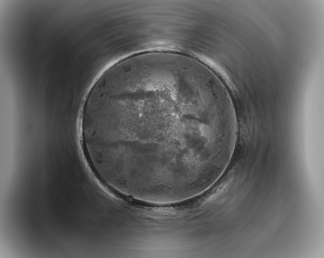 X0000096221383200801181442