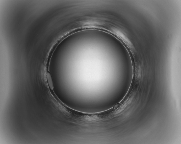 X0000096221384200801181442