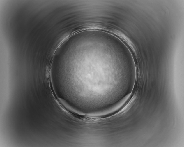 X0000096221385200801181442