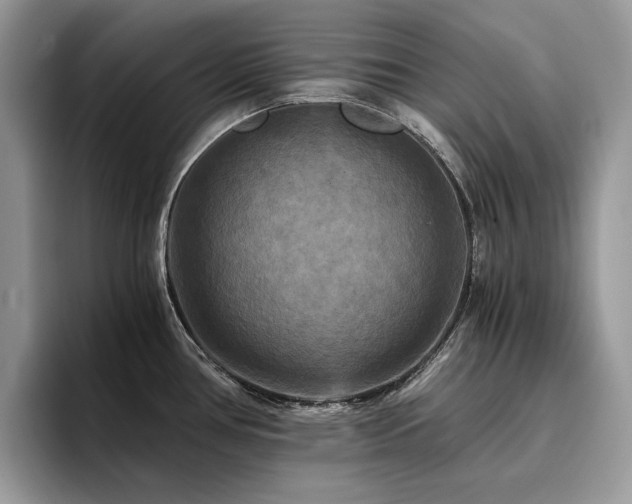 X0000096221386200801181442