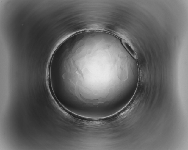 X0000096221387200801181442