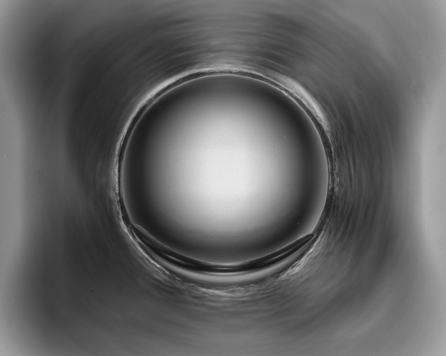 X0000096221388200801181442