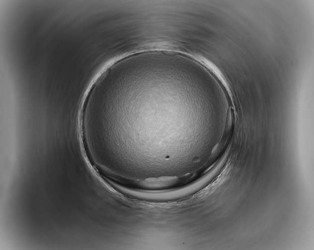 X0000096221389200801181441