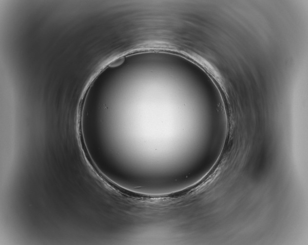 X0000096221390200801181441