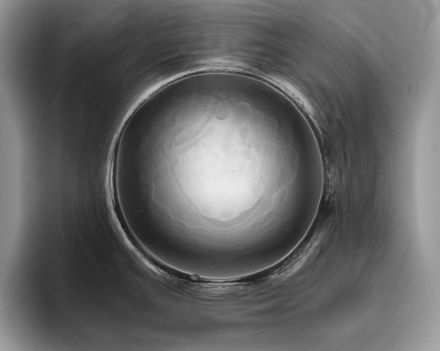 X0000096221391200801181441