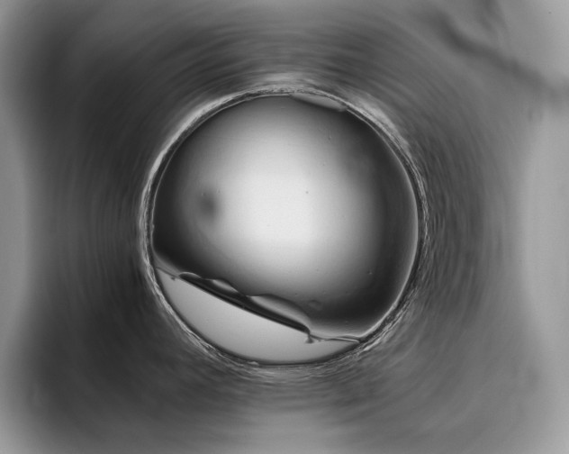 X0000096221392200801181441