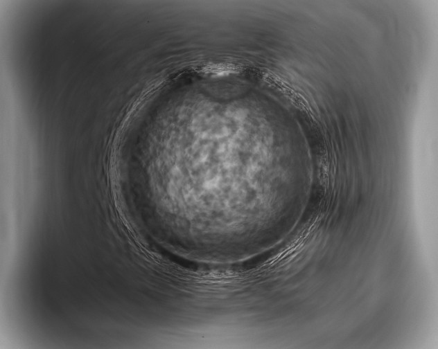X0000096221393200801181441