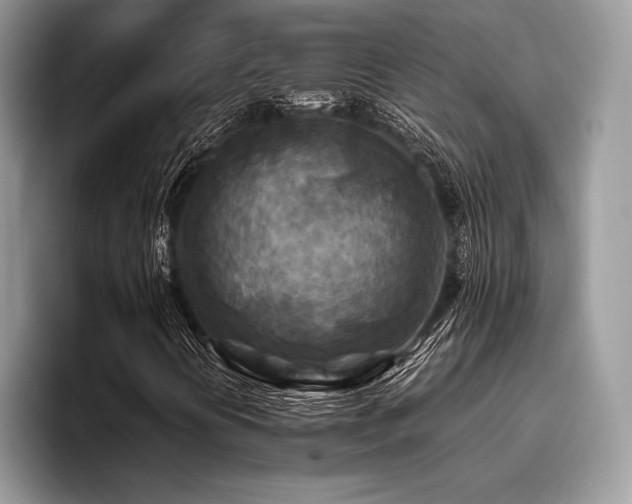 X0000096221394200801181441