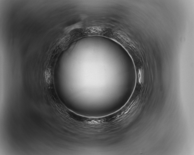 X0000096221395200801181441