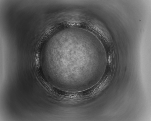 X0000096221396200801181441