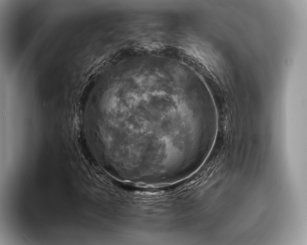 X0000096221397200801181441