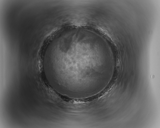 X0000096221398200801181441