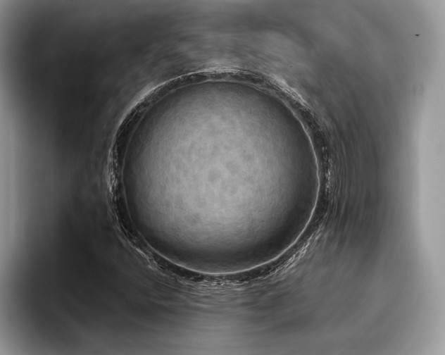 X0000096221400200801181441