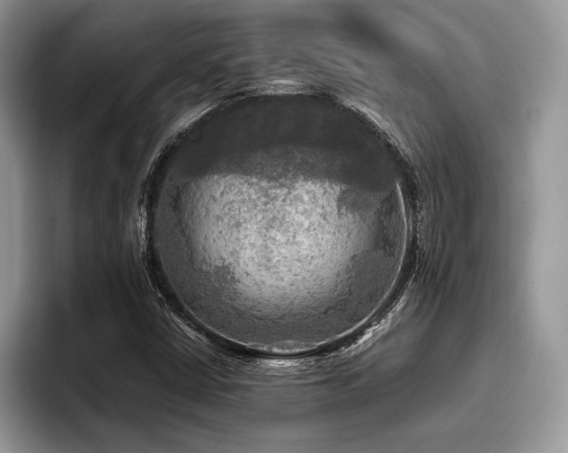 X0000096221402200801181441