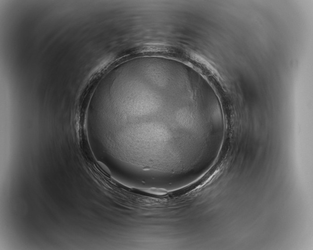 X0000096221403200801181441