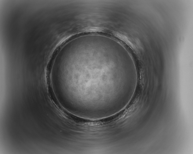 X0000096221404200801181441