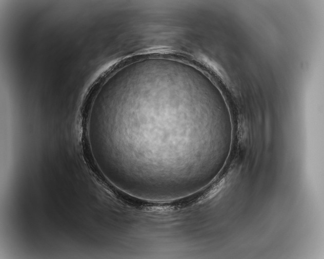 X0000096221406200801181441