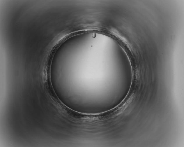 X0000096221407200801181441
