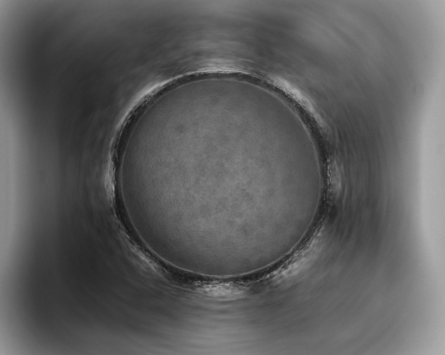 X0000096221408200801181441